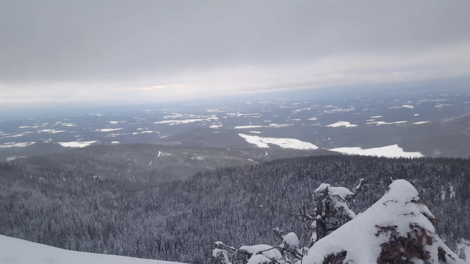 20190210_170320.webp
