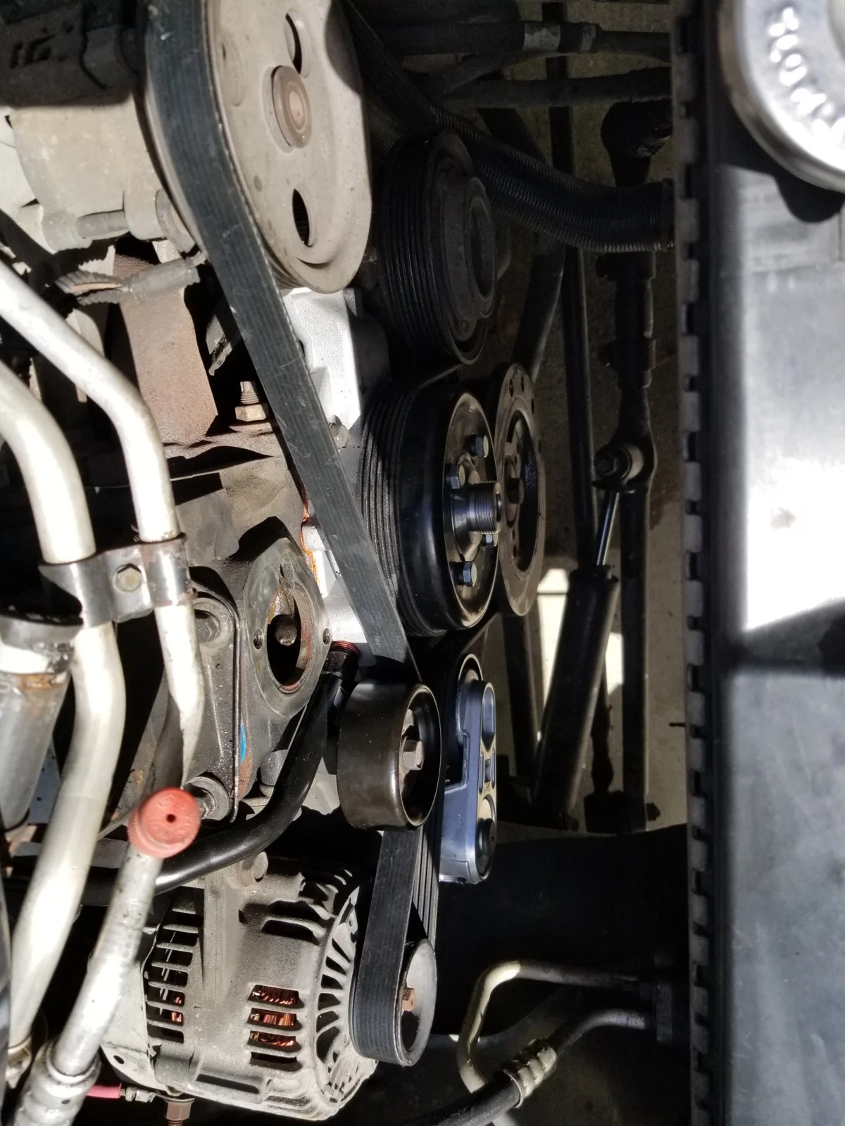 20190418_112228.webp