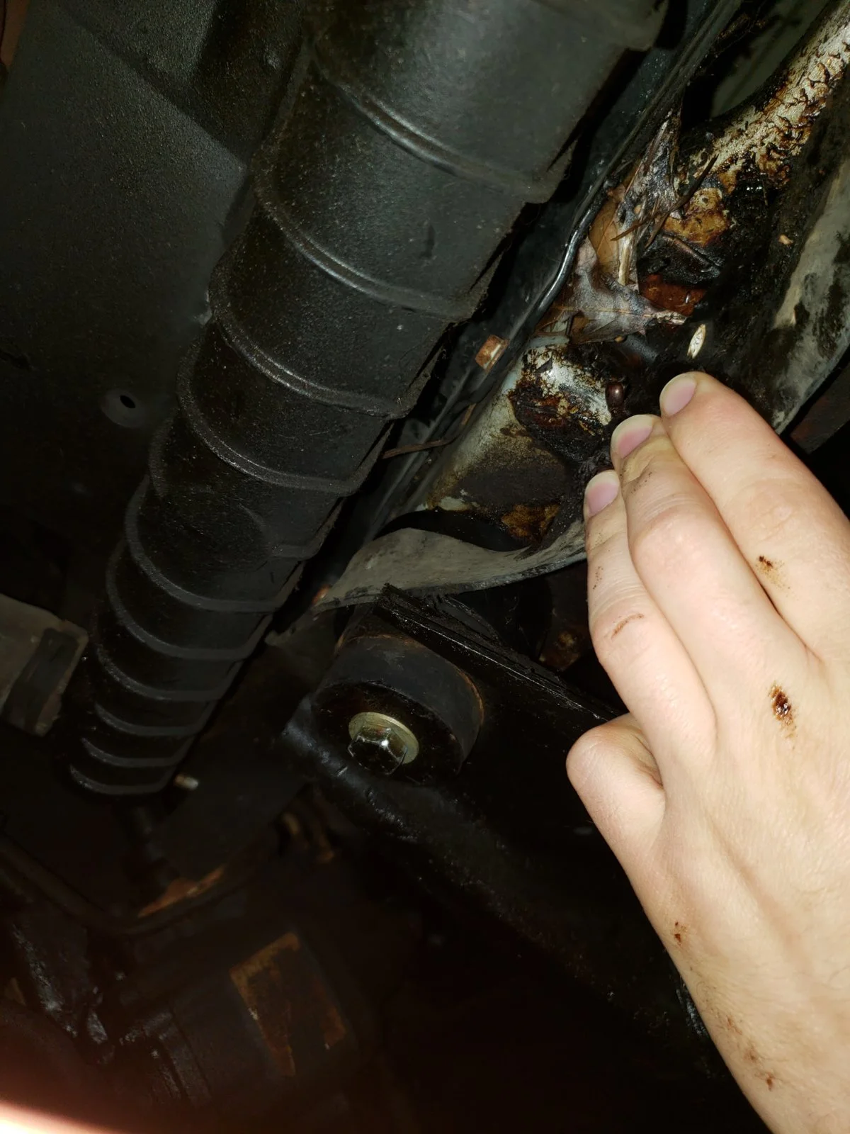 20190422_193152.webp