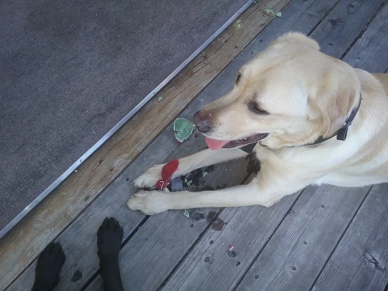 20190510_180031.webp