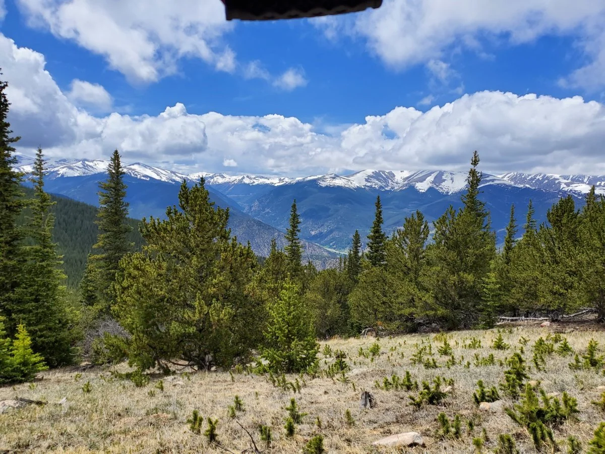 20190615_143446[1].webp