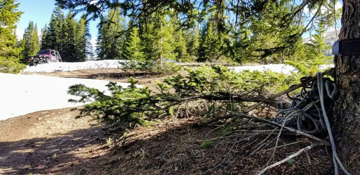 20190620_172911.jpg