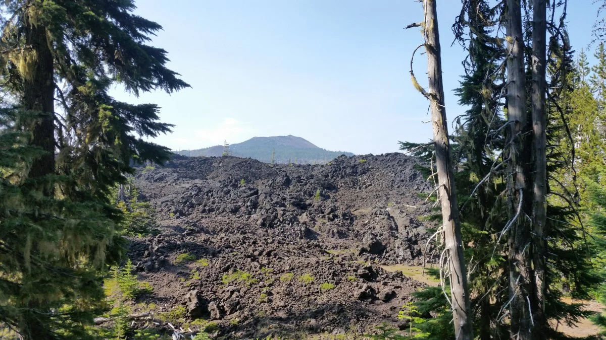 20190705_165721.webp