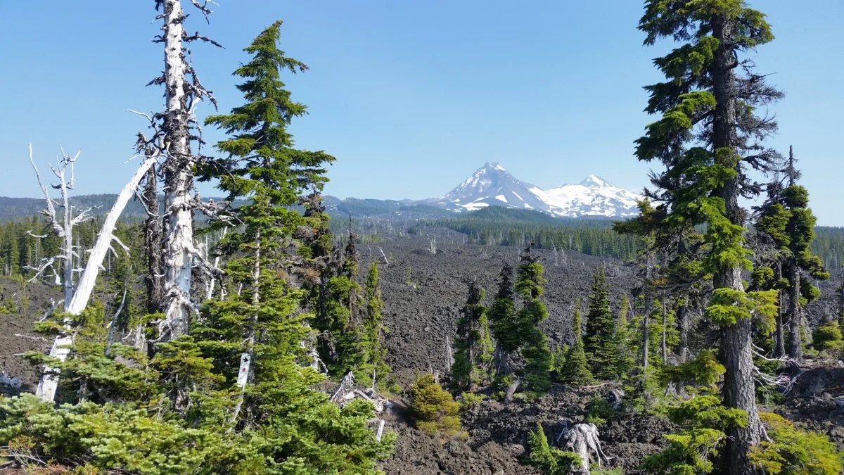 20190705_170945.webp