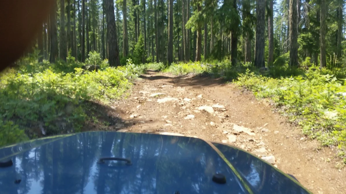 20190706_130348.webp