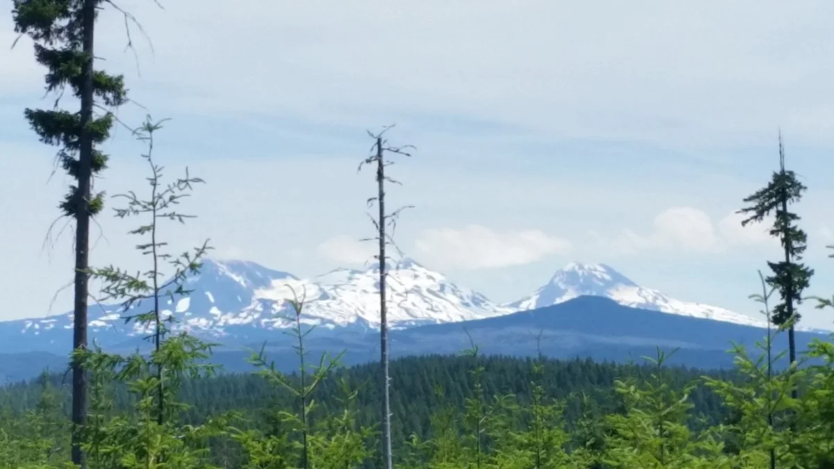 20190706_143110.webp