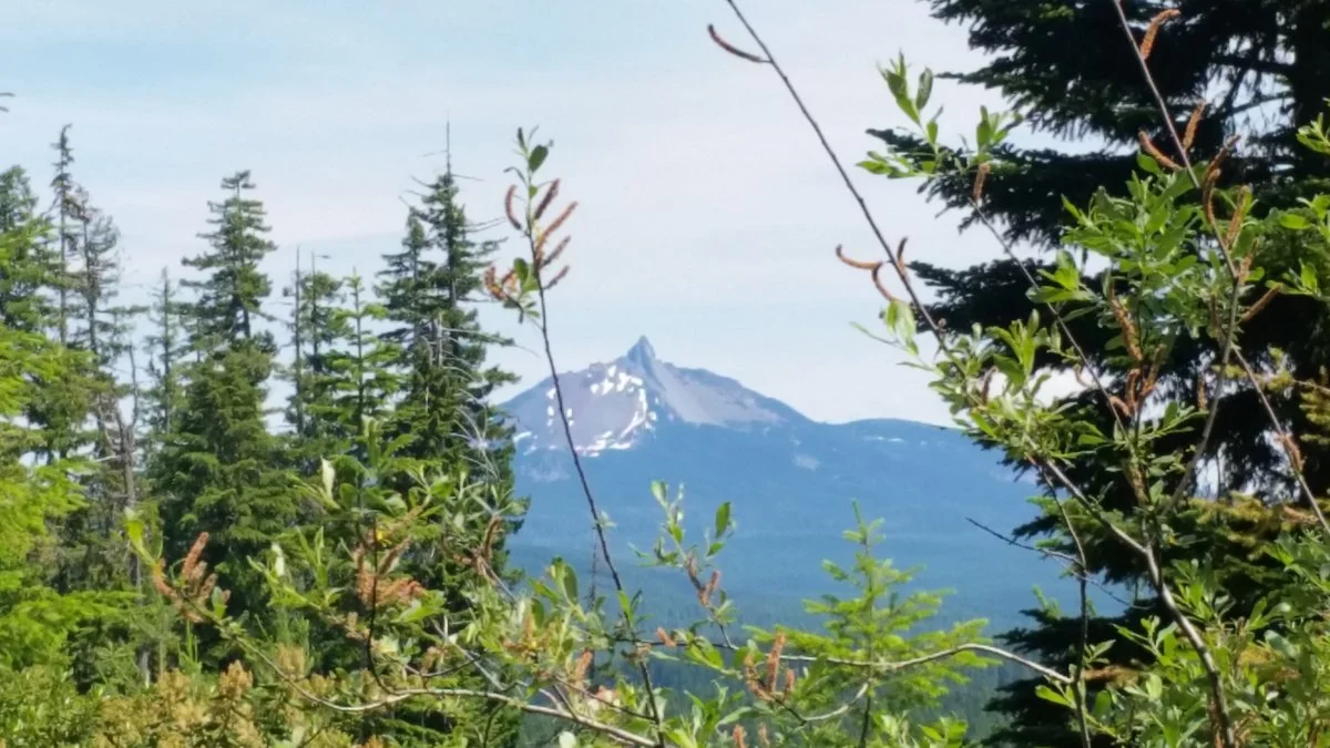 20190706_143226.webp