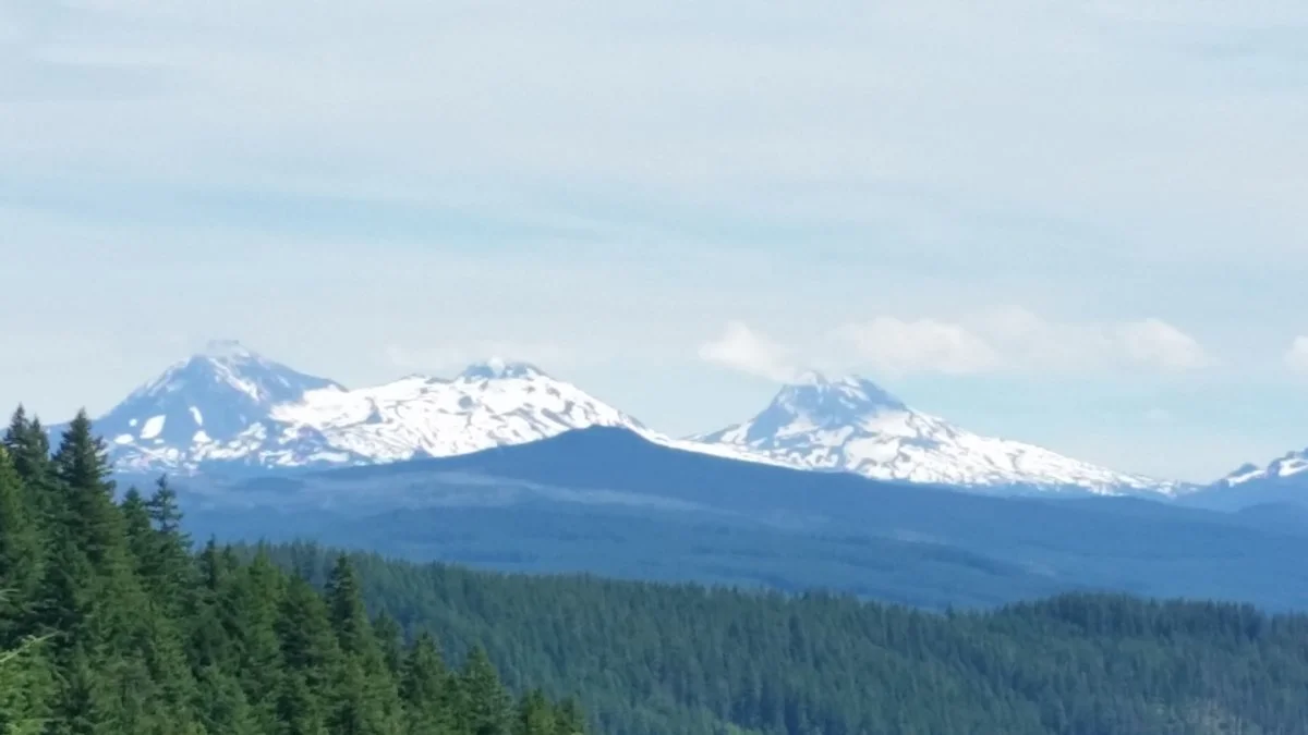 20190706_144204.webp