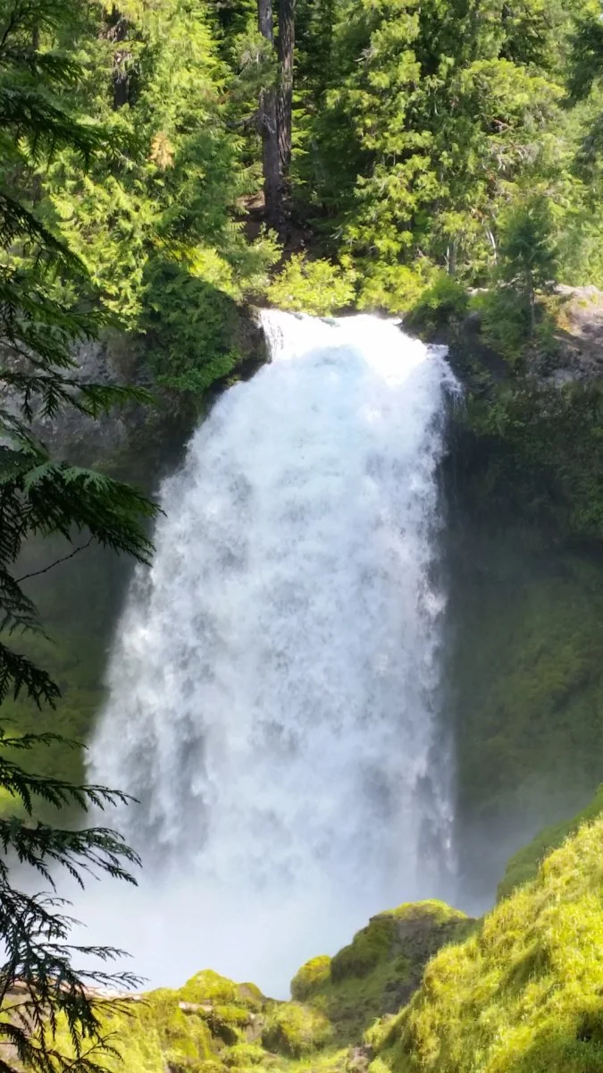 20190707_105520.webp