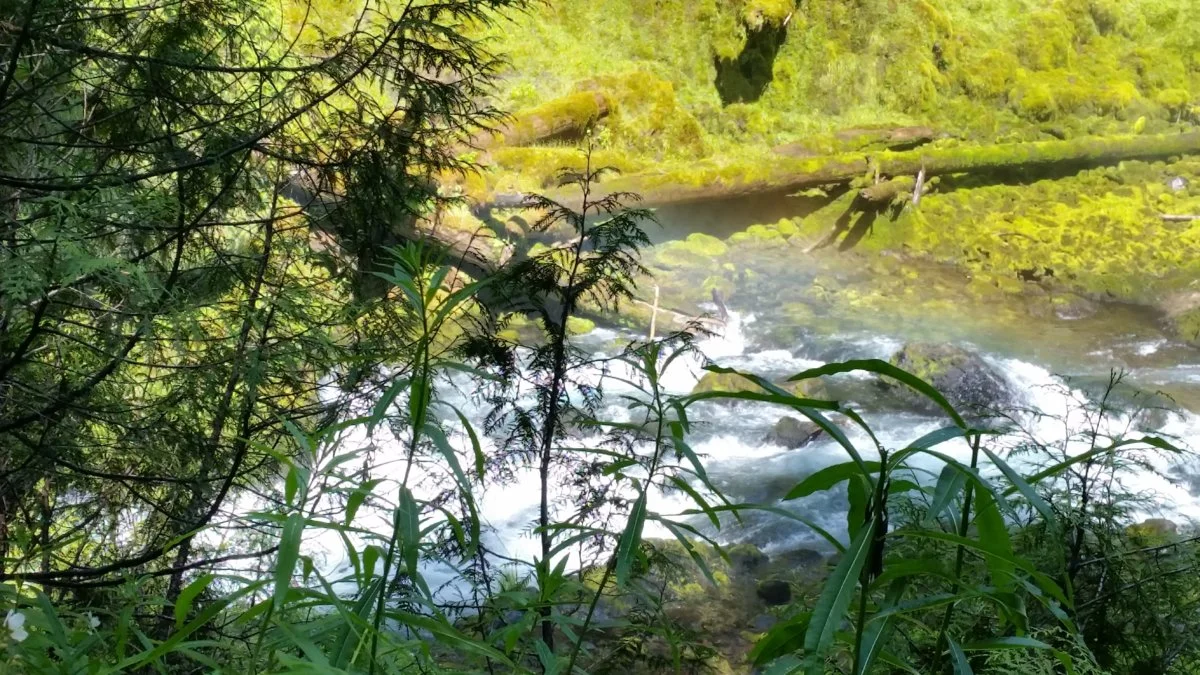 20190707_105602.webp