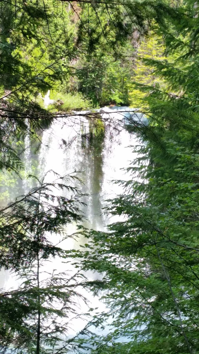 20190707_111840.webp