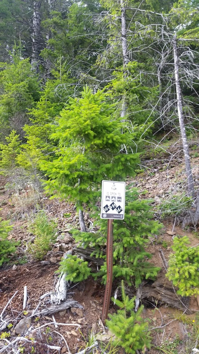 20190811_161003.jpg