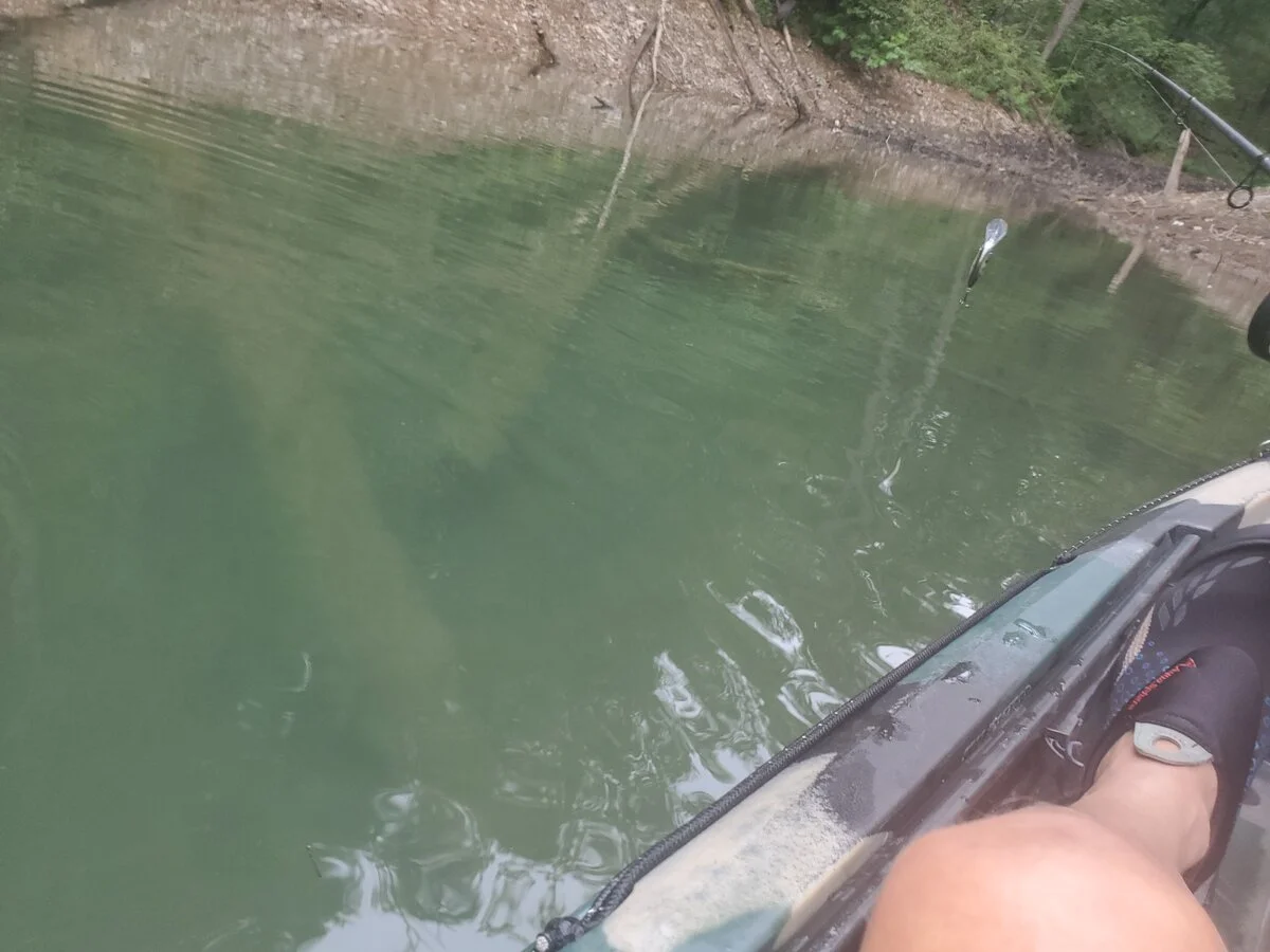20190824_135105.jpg
