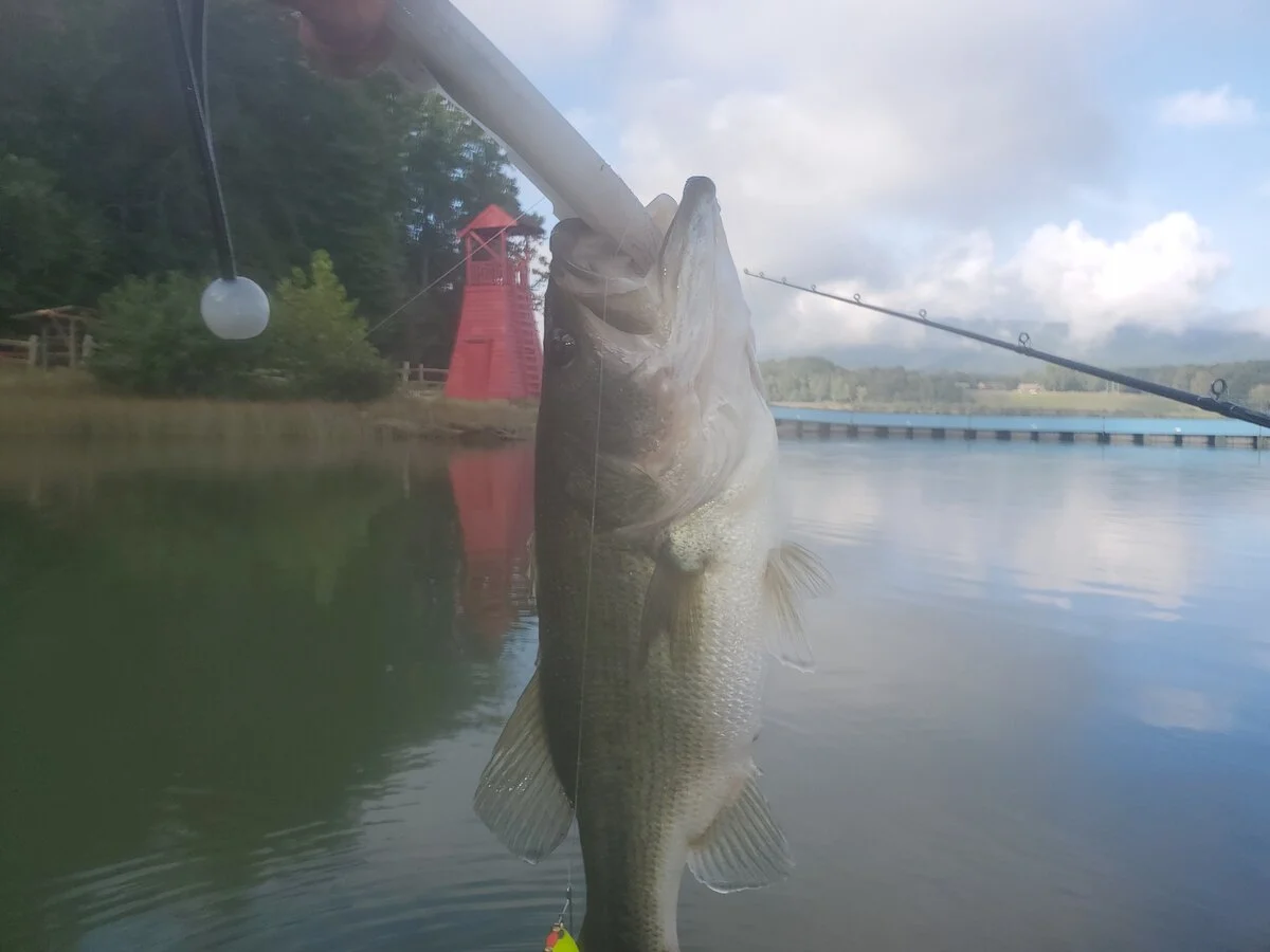 20190915_085315.jpg