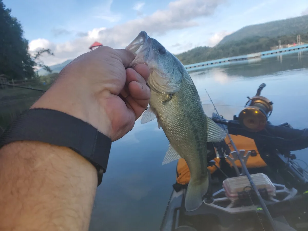20190915_093238.jpg
