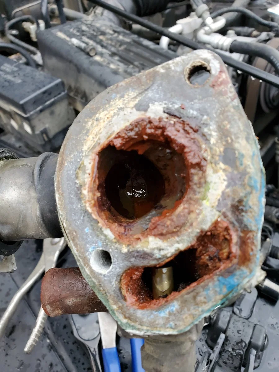 20191003_152042.jpg