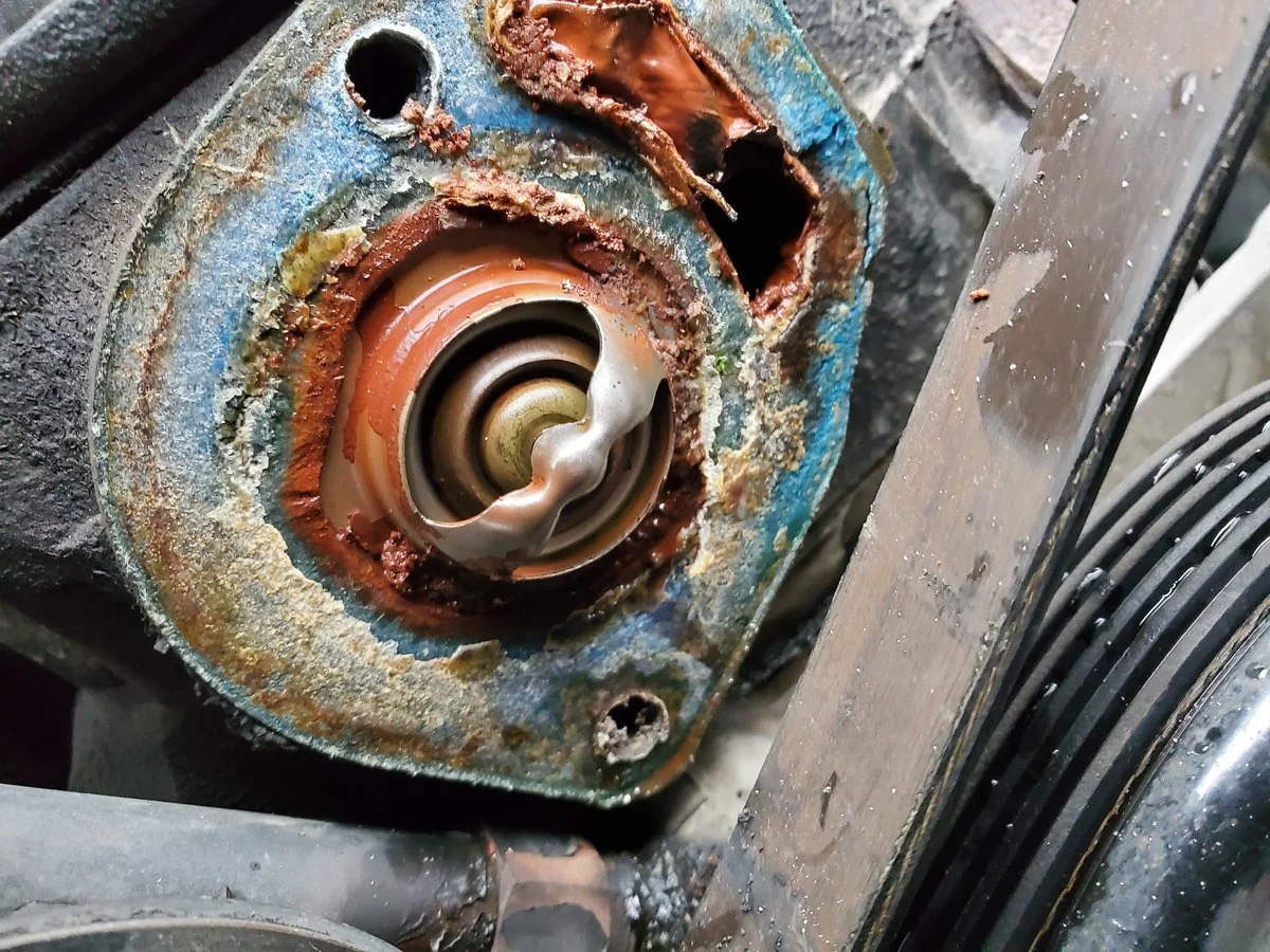 20191003_152051.jpg