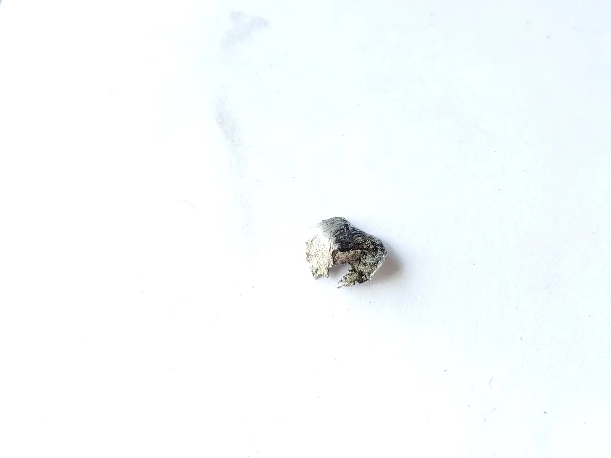 20191016_124822.jpg
