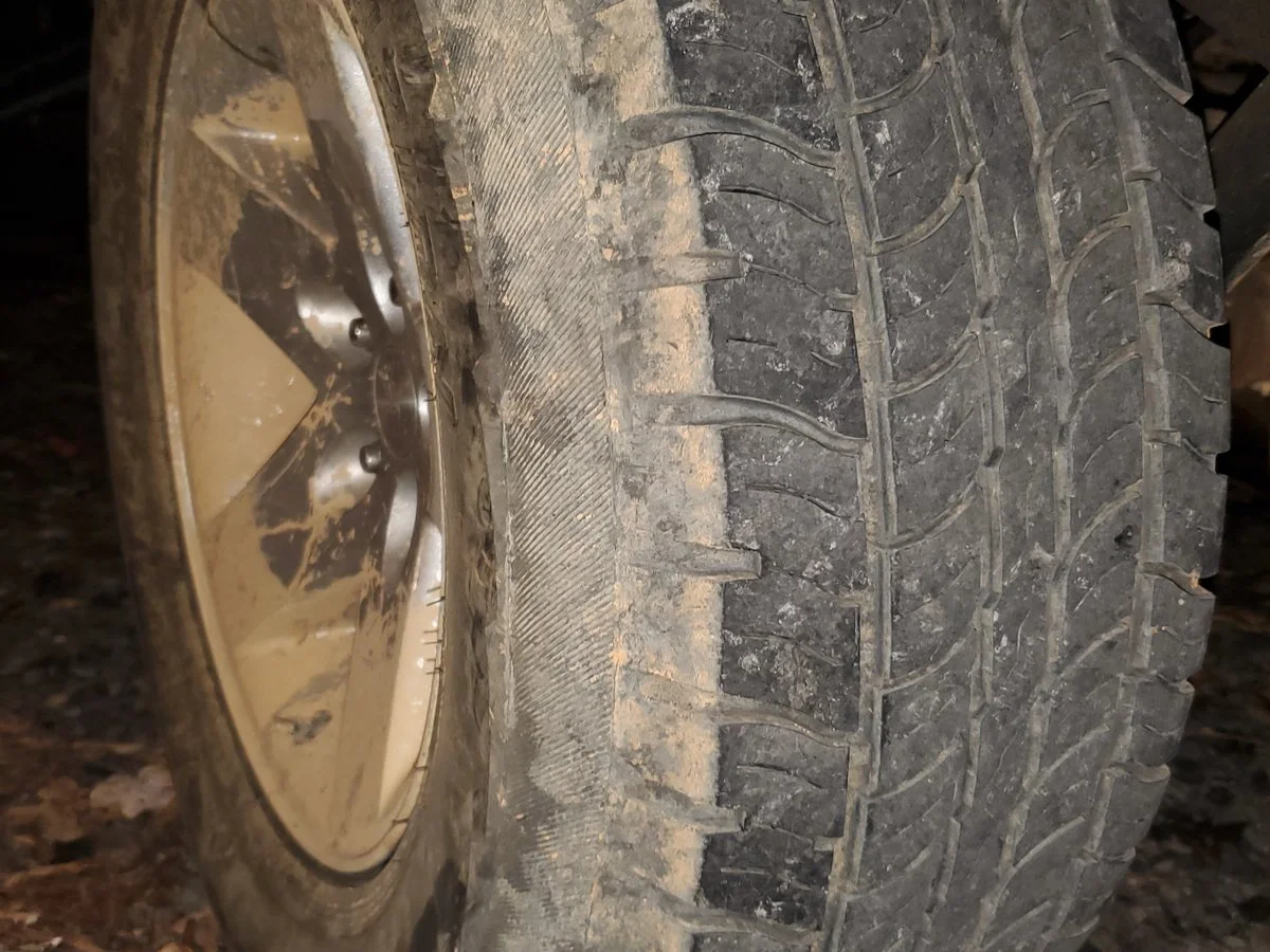 20191026_200448.webp
