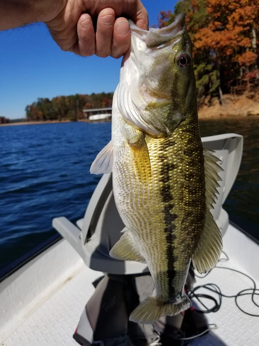 20191120_112750.webp