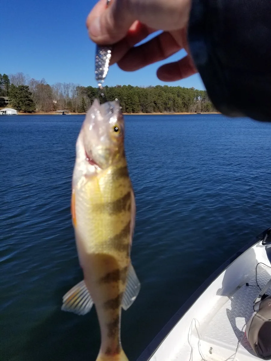 20191204_123806.webp