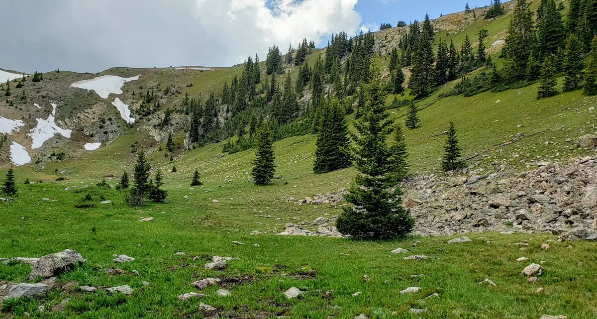 20200703_121929.webp