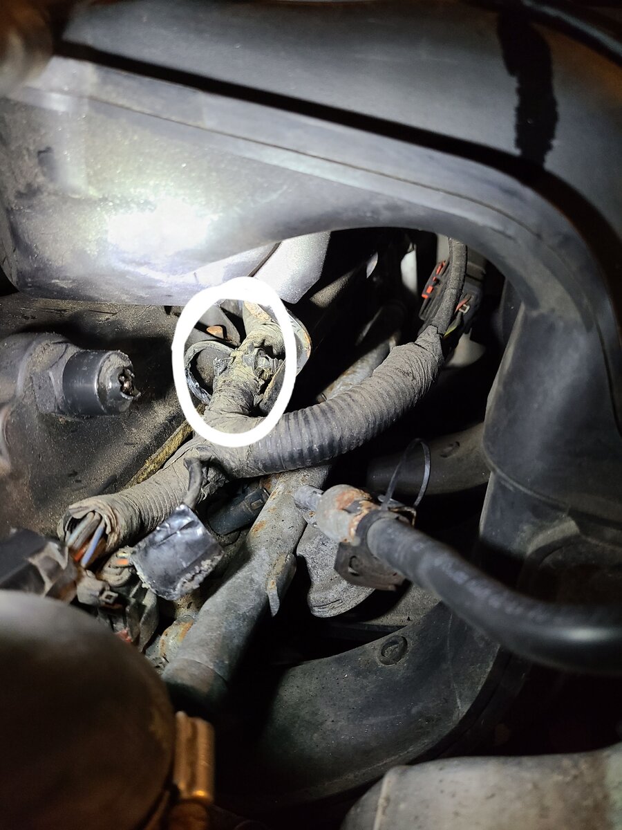  valve cover gasket | Jeep Wrangler TJ Forum