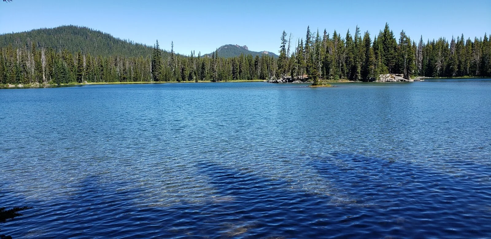 20200811_114340.webp