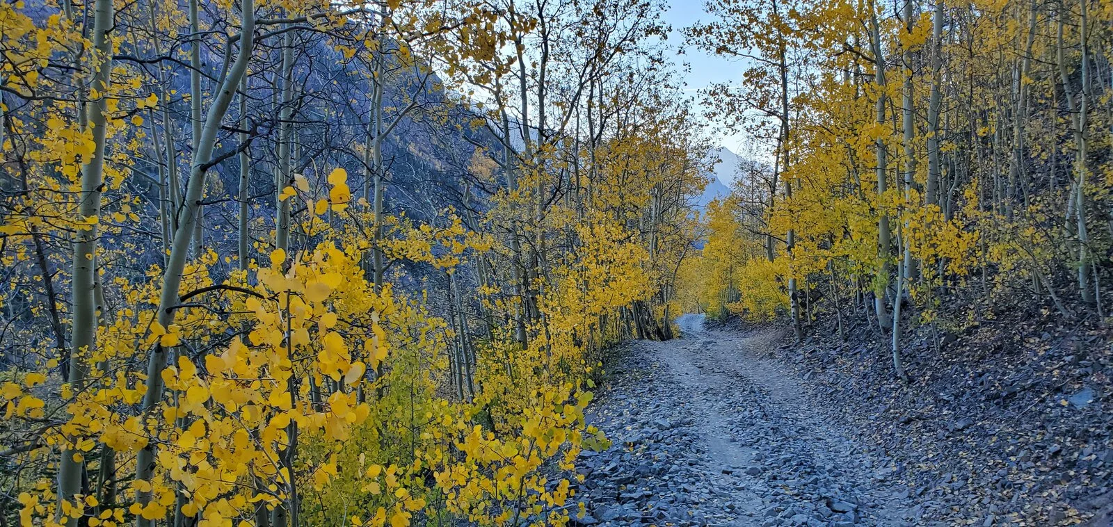 20200927_174945.webp