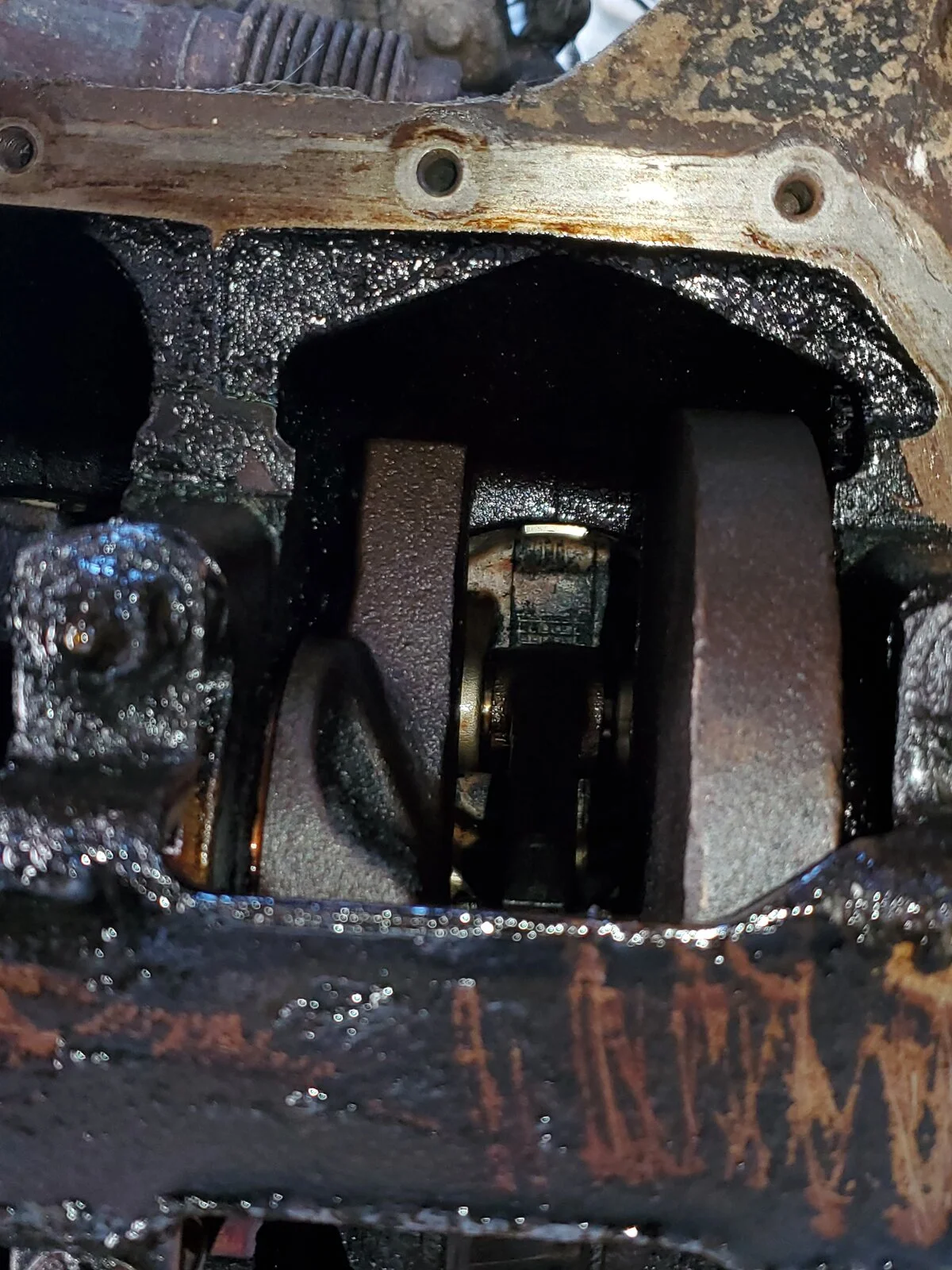 20201003_134416.jpg