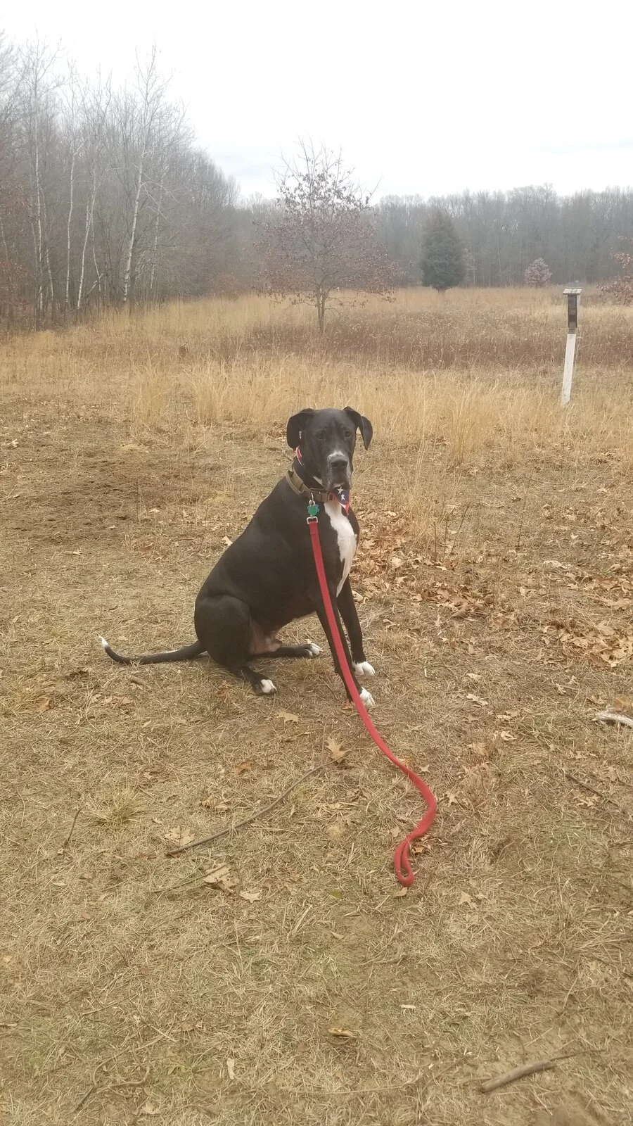 20201205_145953.webp