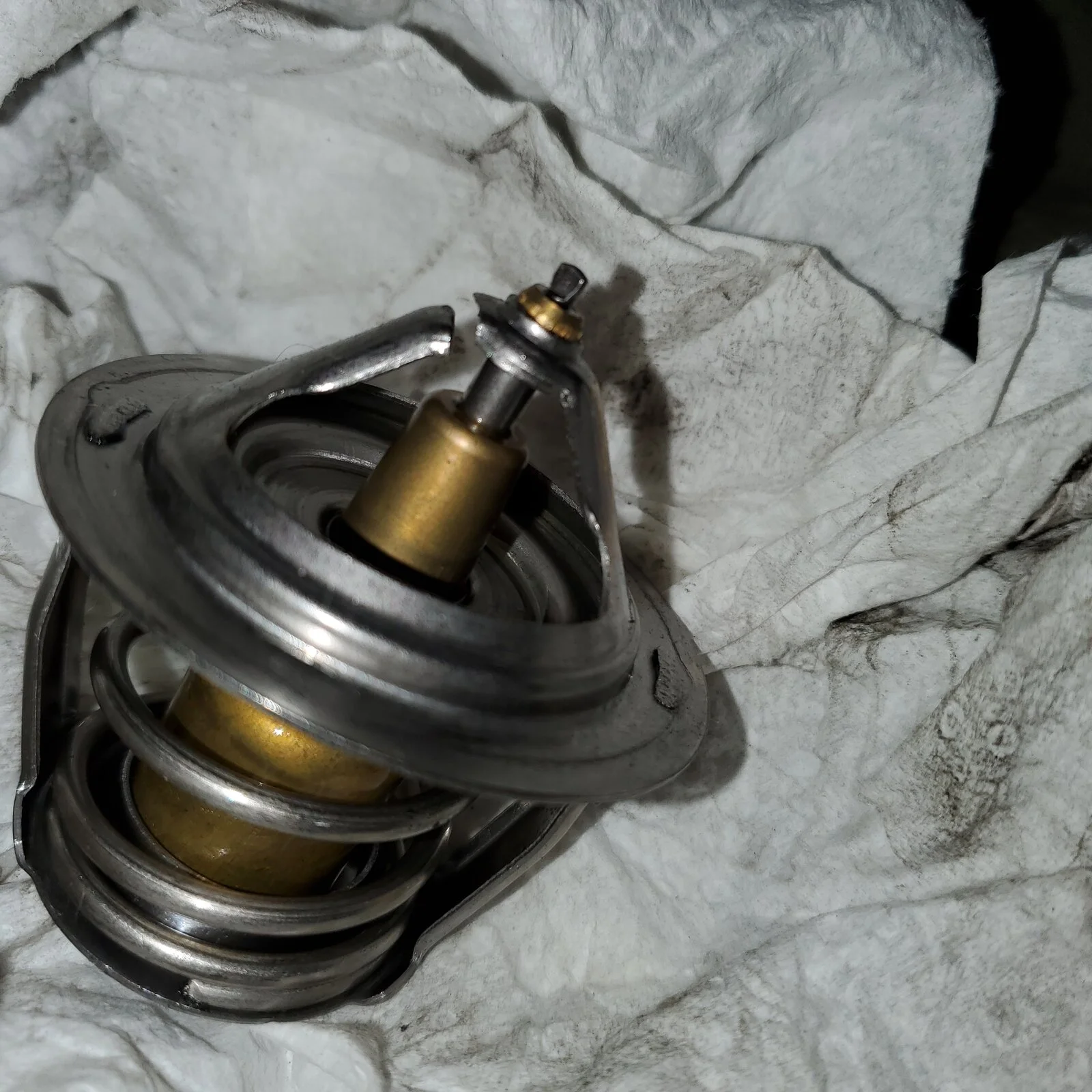 20201206_100018.webp