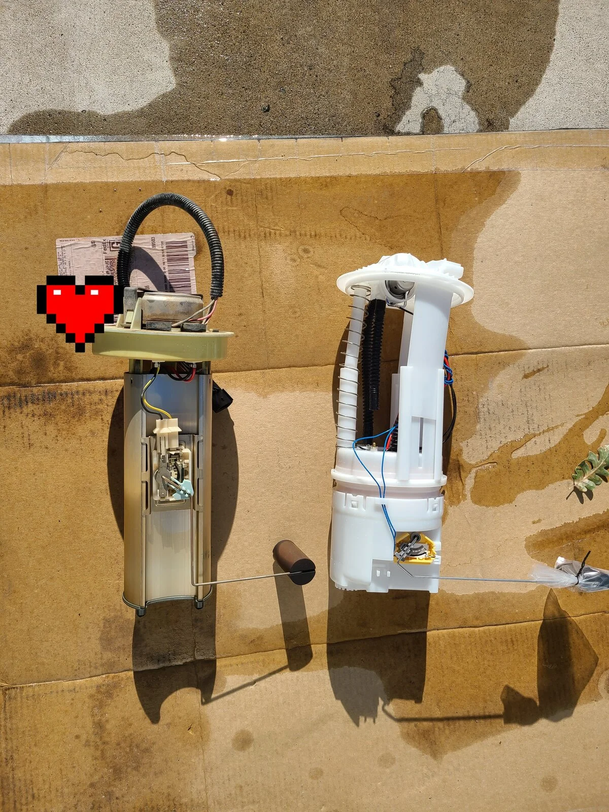 20201212_114058.jpg