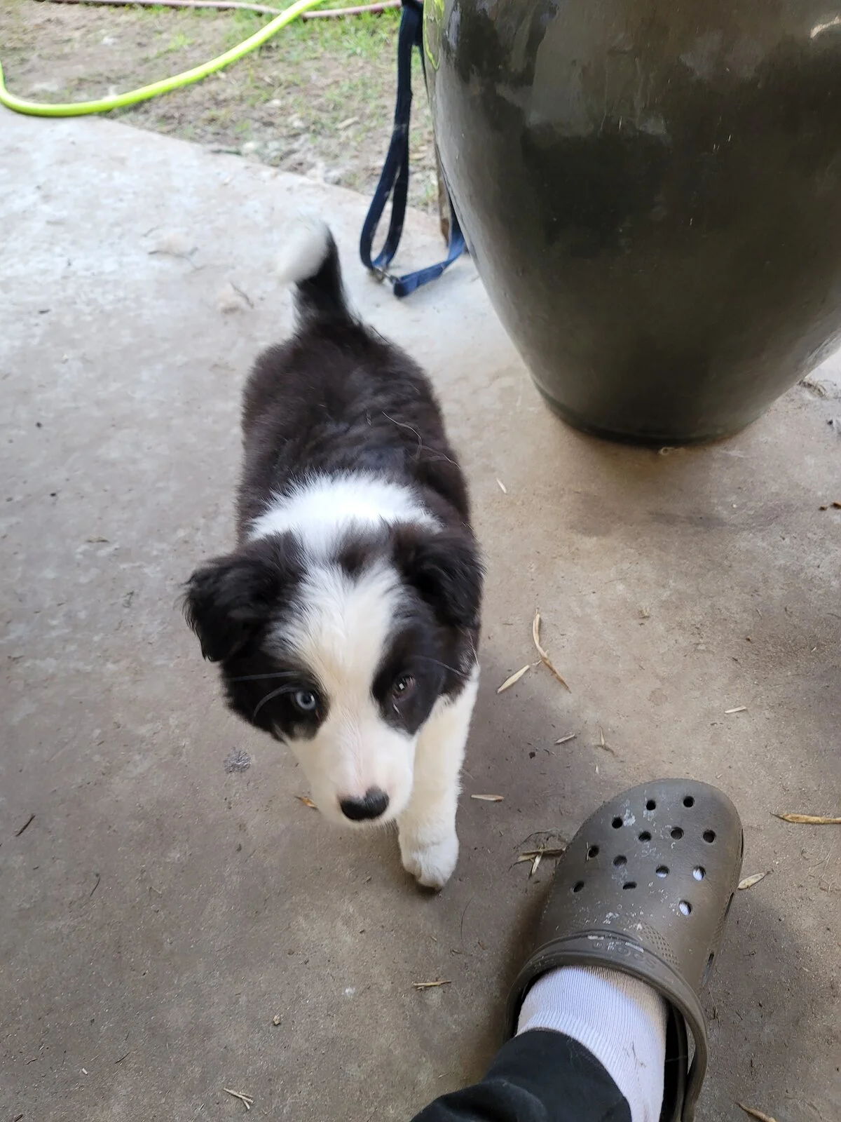 20201213_102458.webp