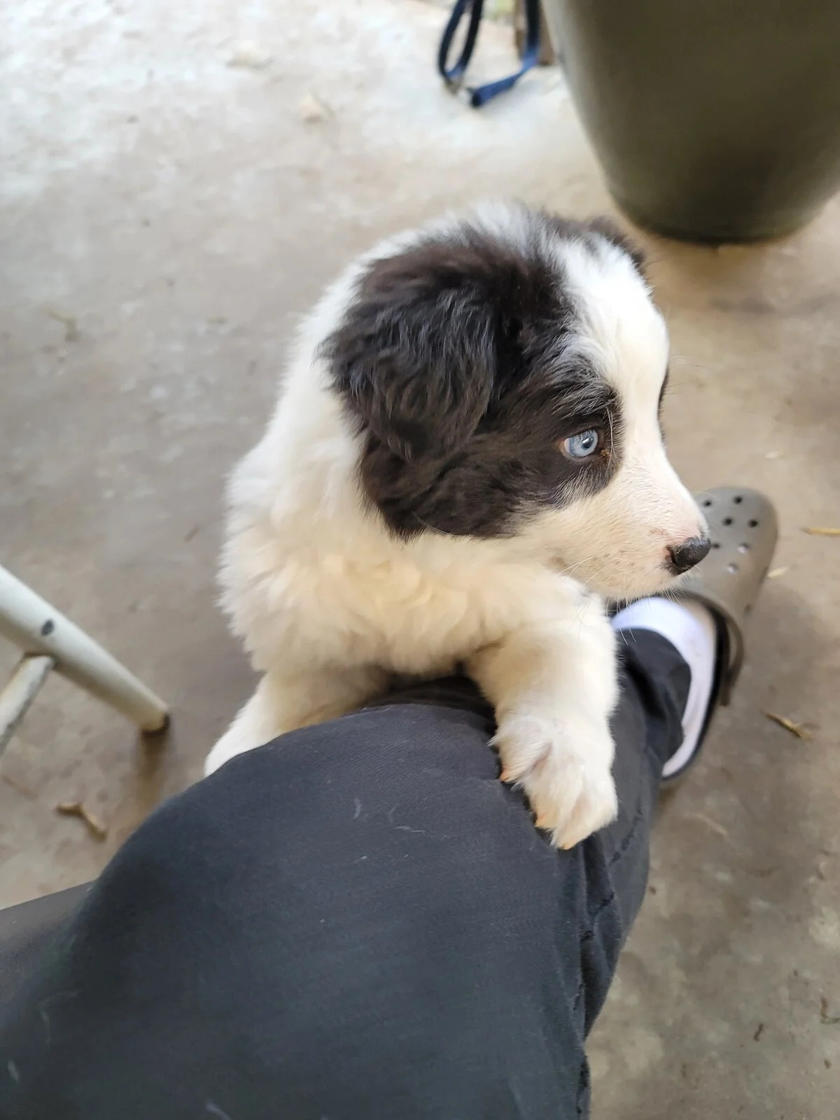 20201213_102506.jpg