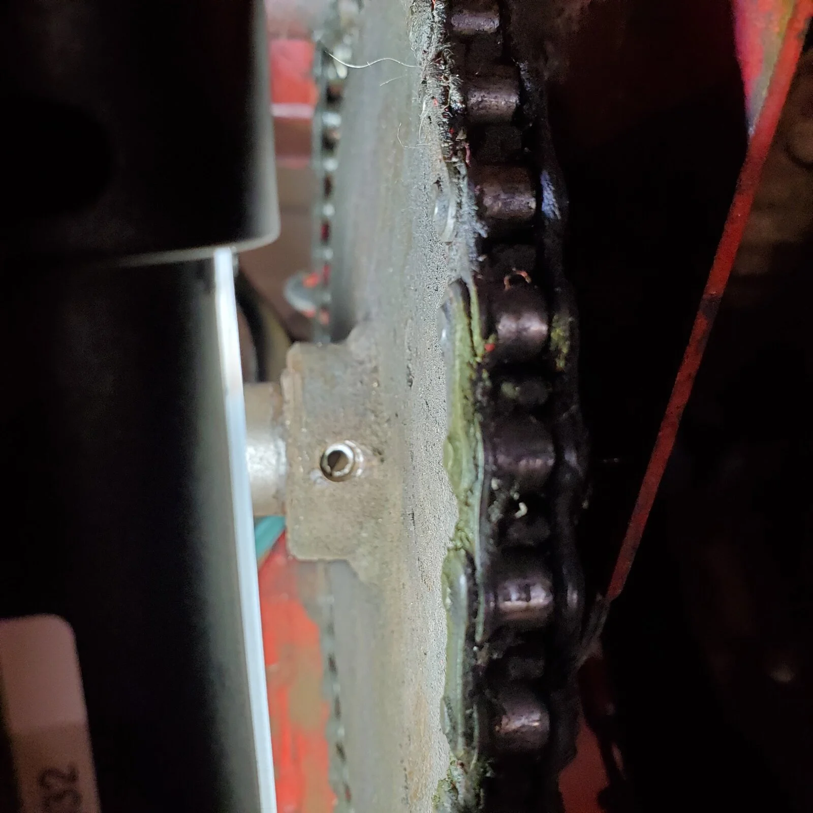 20201215_134219.jpg