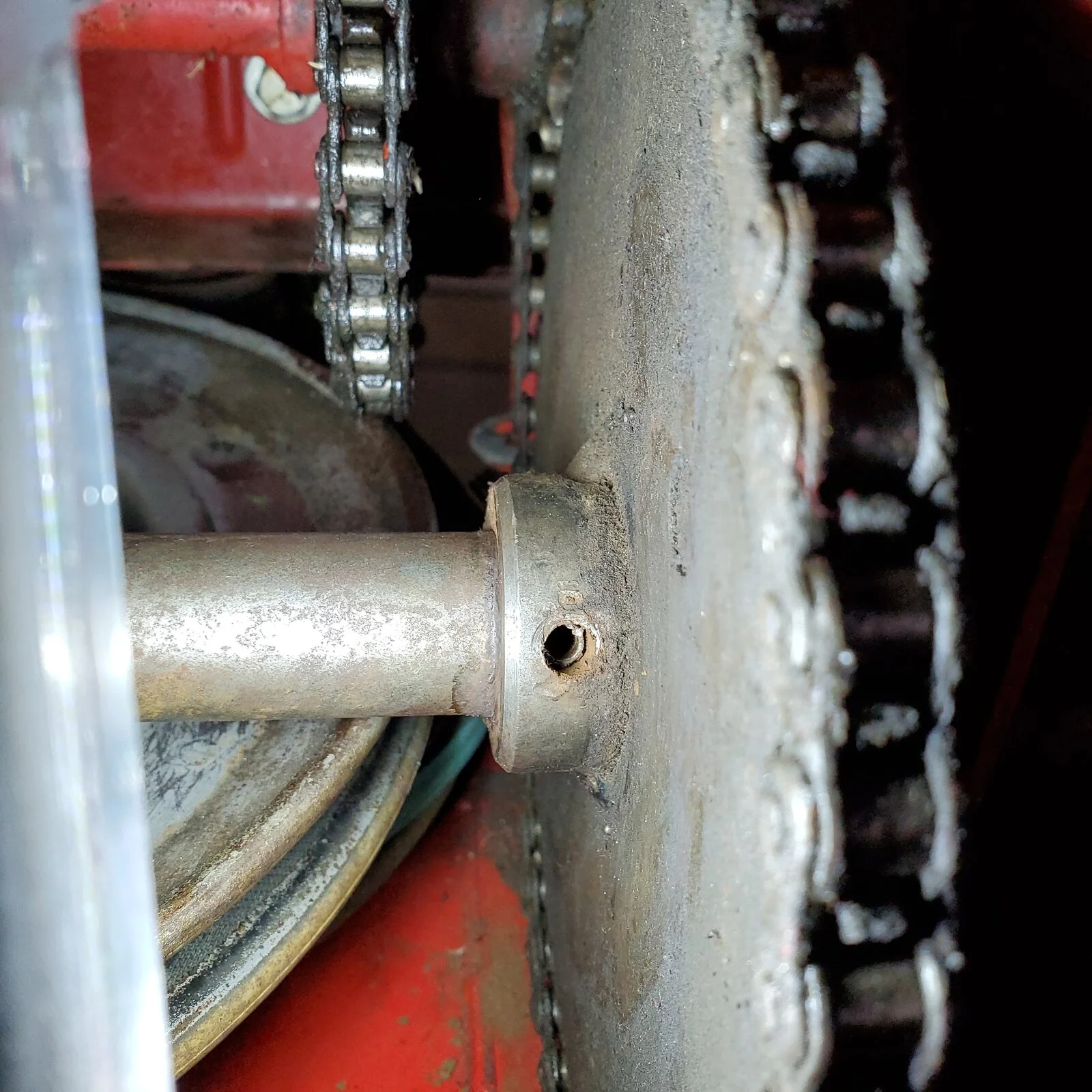 20201215_134236.jpg