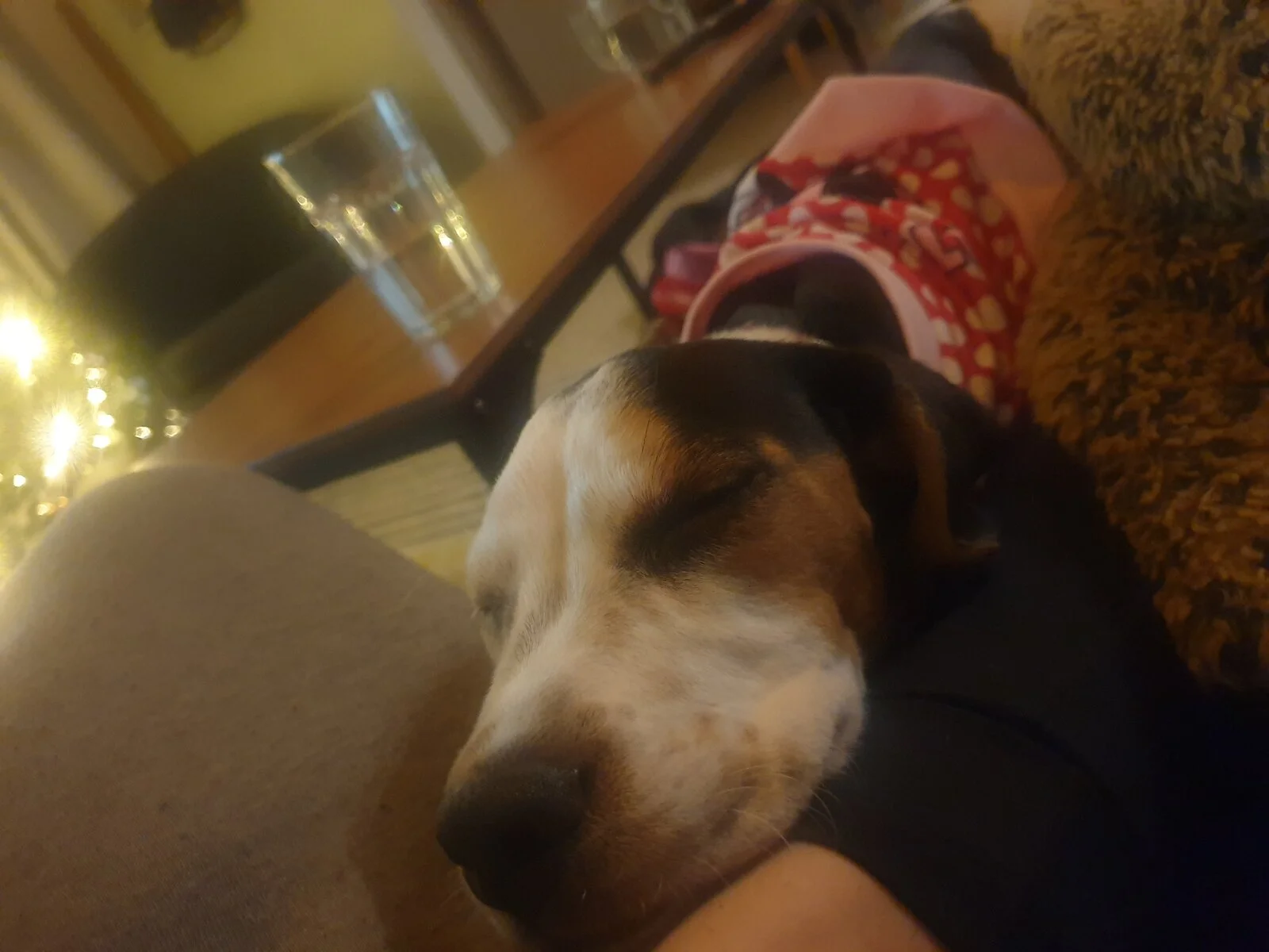 20201217_163142.webp