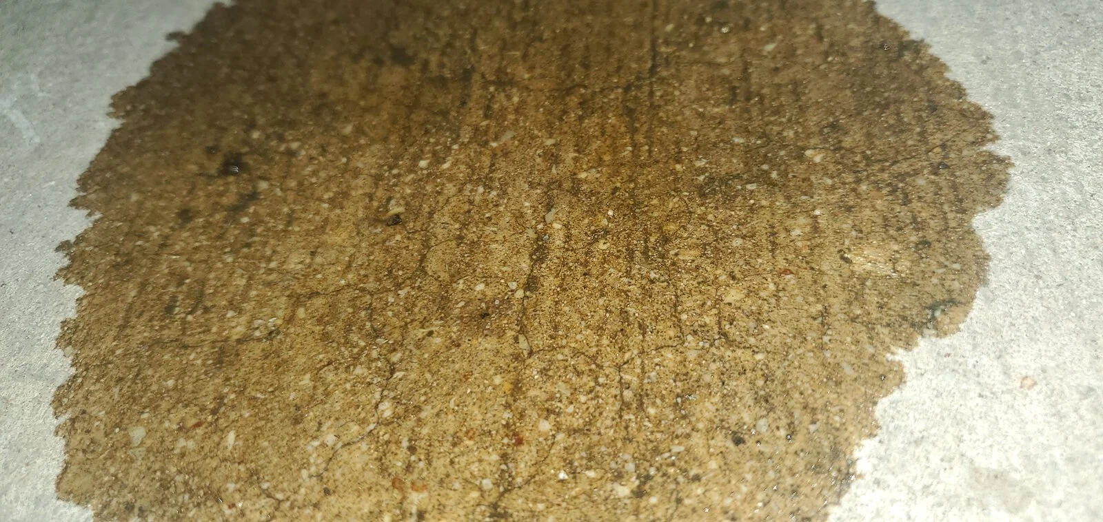 20210104_185928.jpg