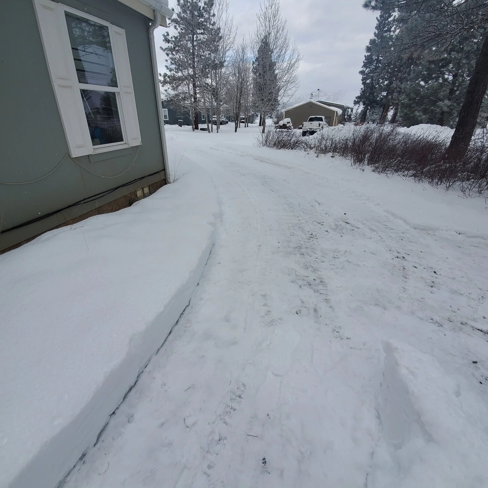 20210219_103938.webp