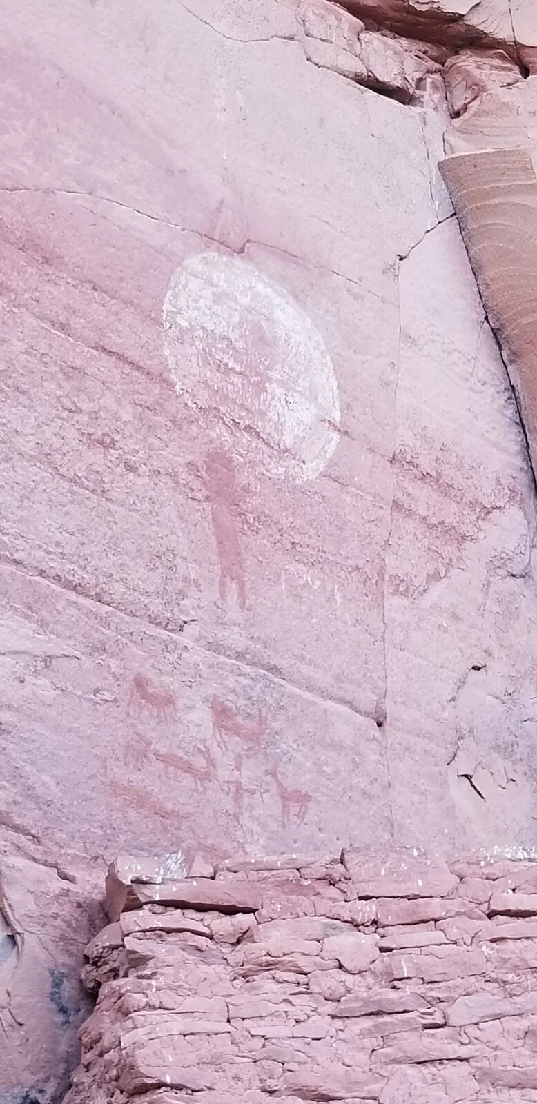 20210220_103451.jpg
