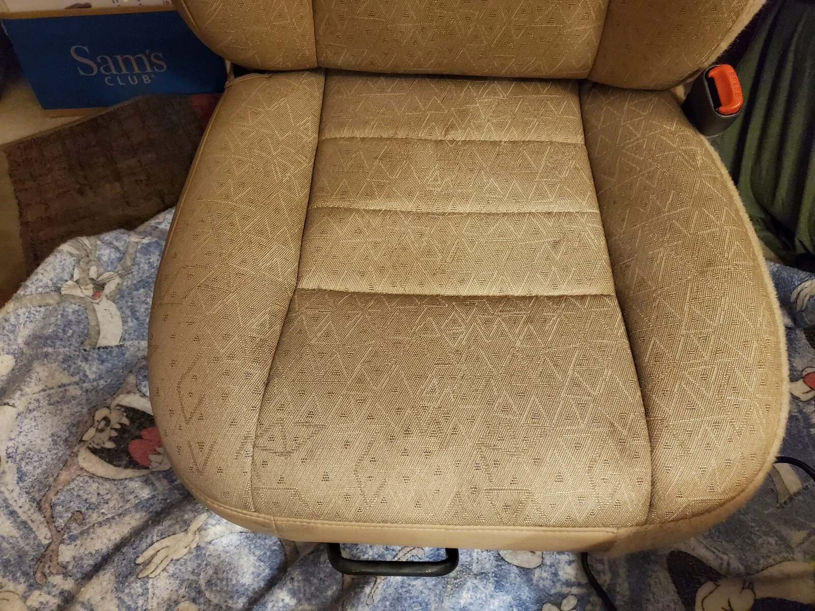 20210310_070143.jpg