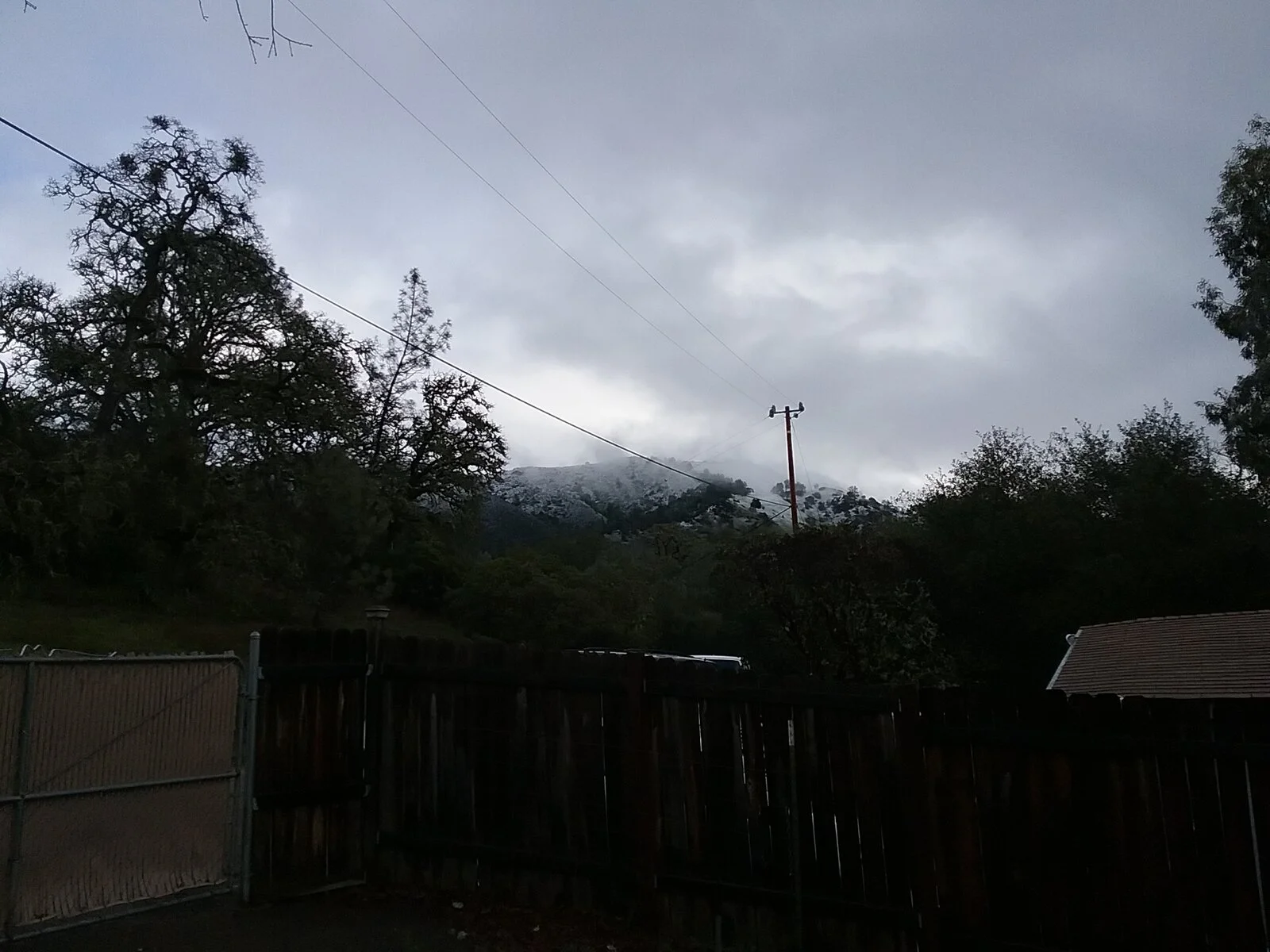 20210310_075714.webp