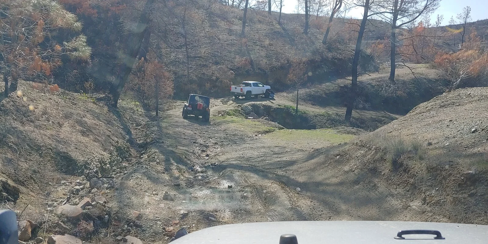 20210320_105607_HDR.webp