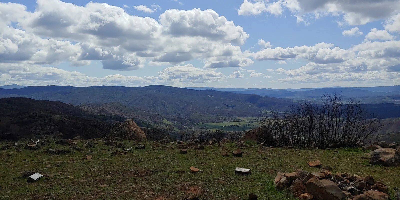 20210320_124106_HDR.webp