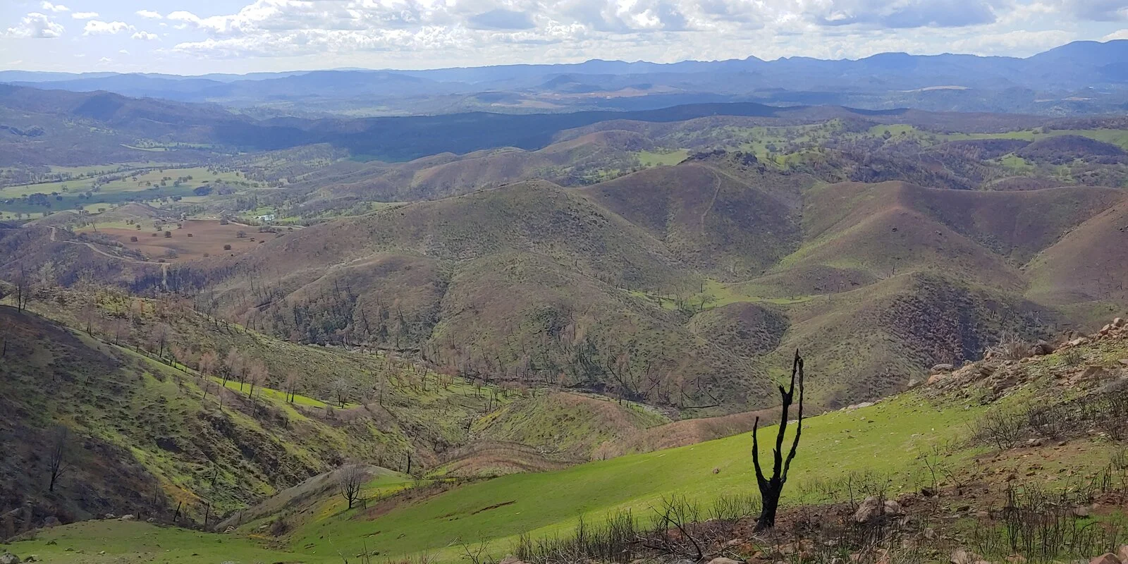 20210320_124125_HDR.webp