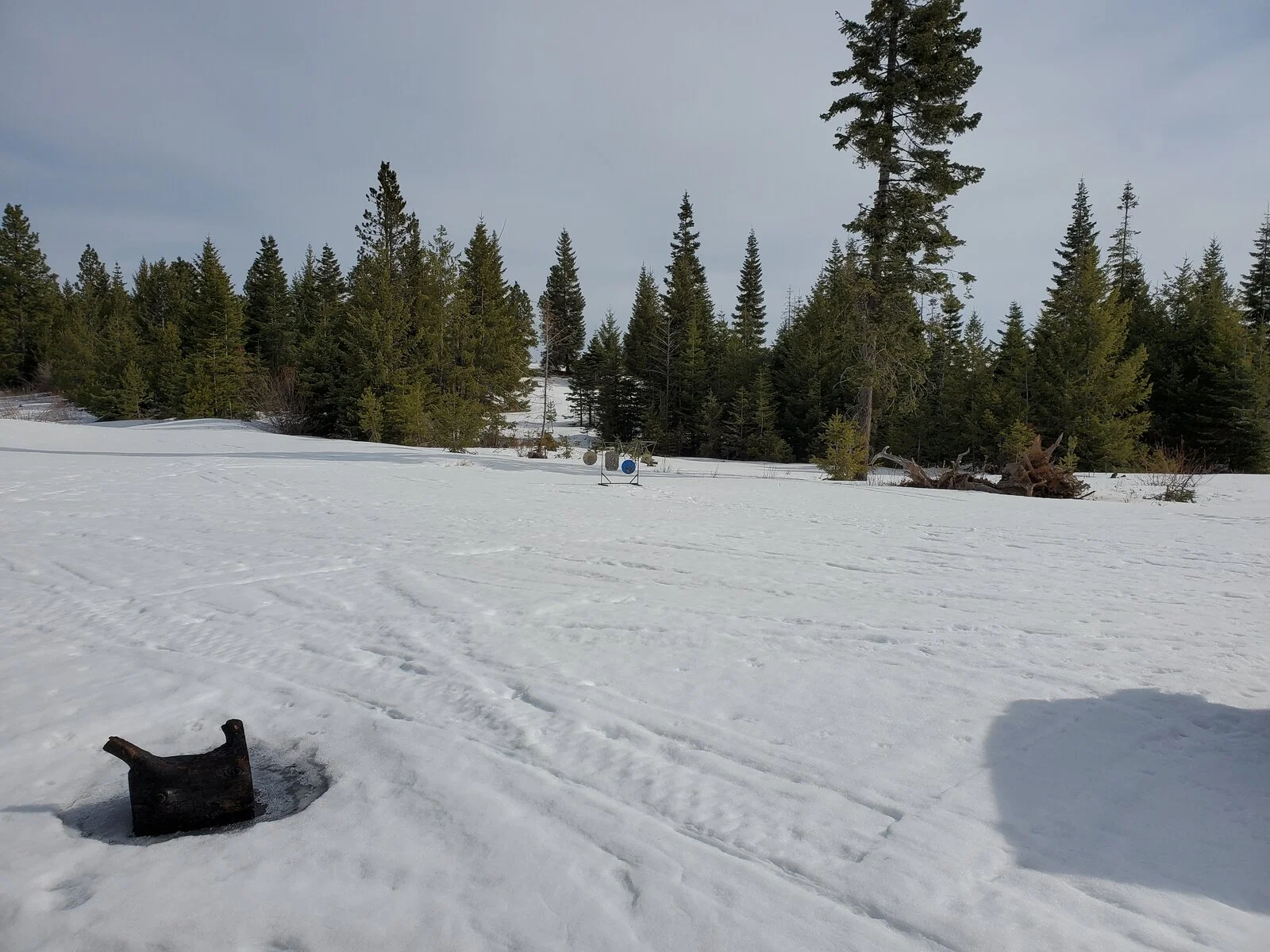 20210403_094418.webp