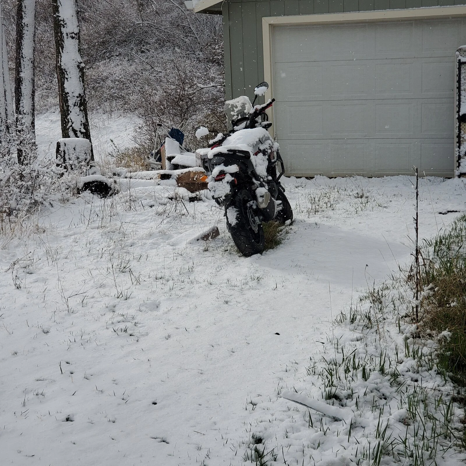 20210408_090046.webp