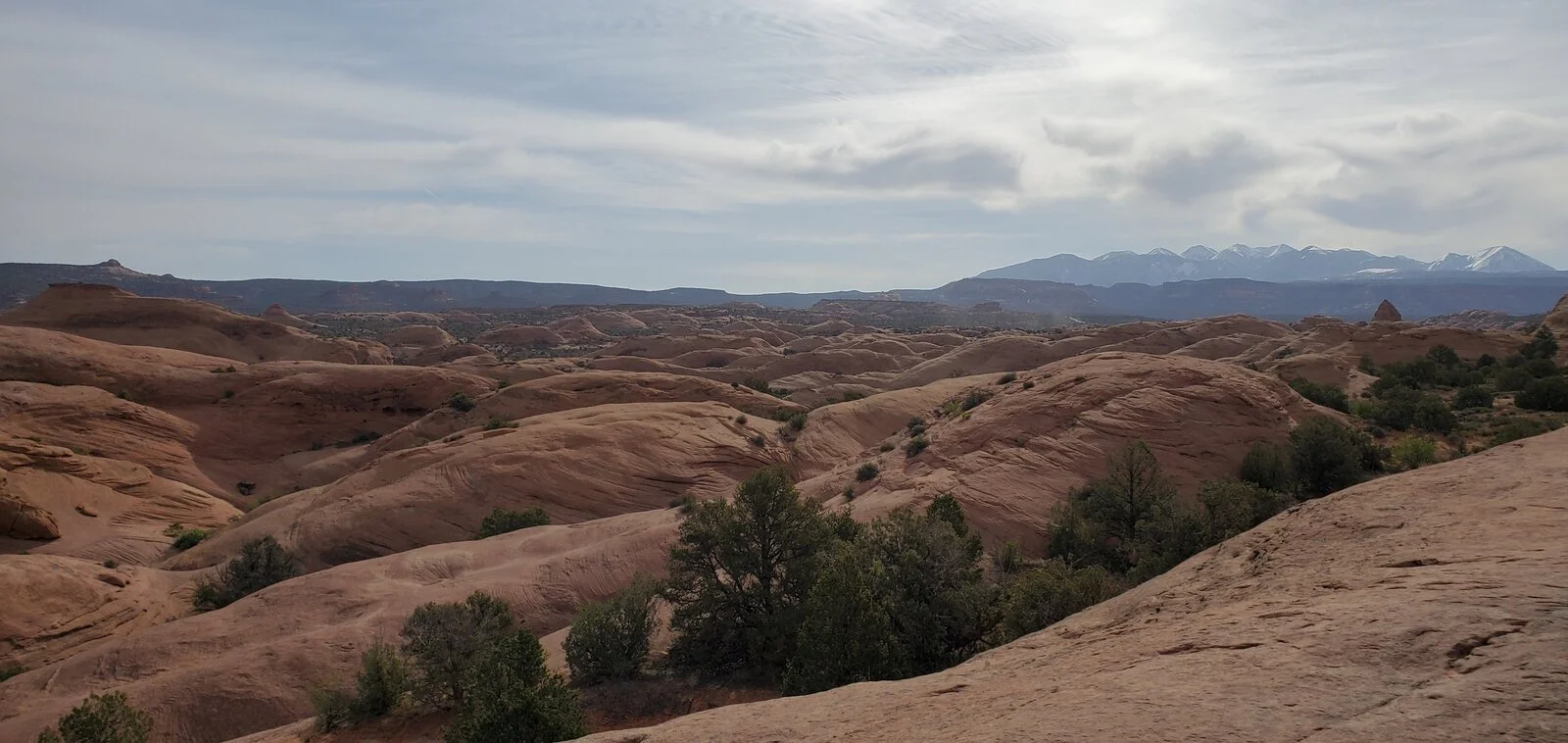 20210424_090645[1].webp