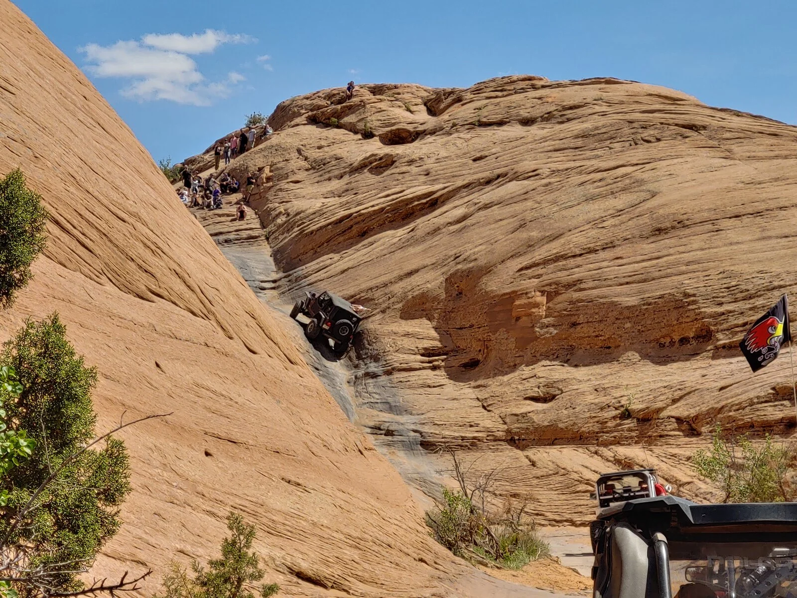 20210424_141356_HDR.webp